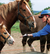 Brittany and Normandy family trip photo